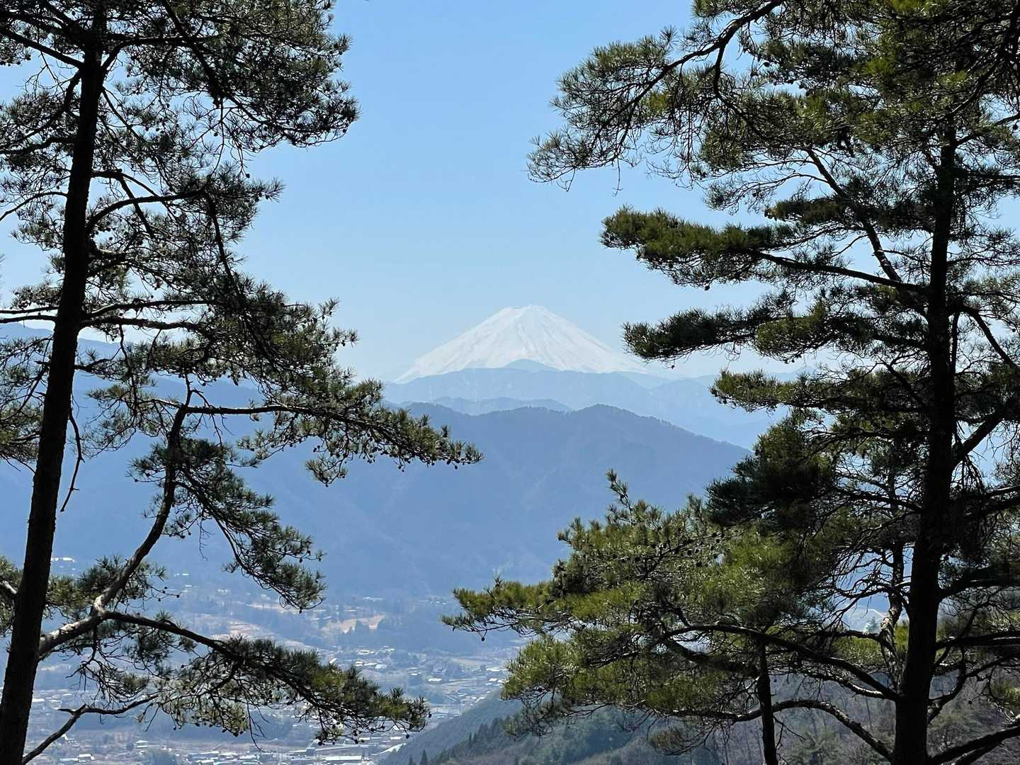 小倉山-上条山-上条峠 周回コースの写真