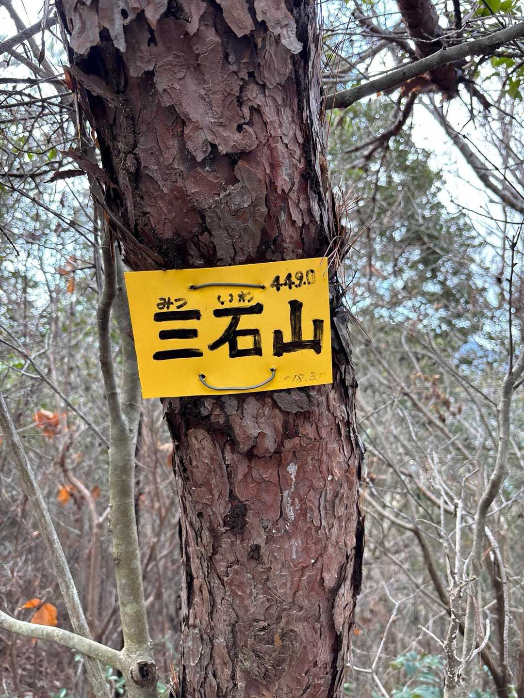 みついしやまとは読まずみついわやまらしい