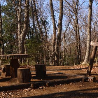 家族皆で歩ける良い公園