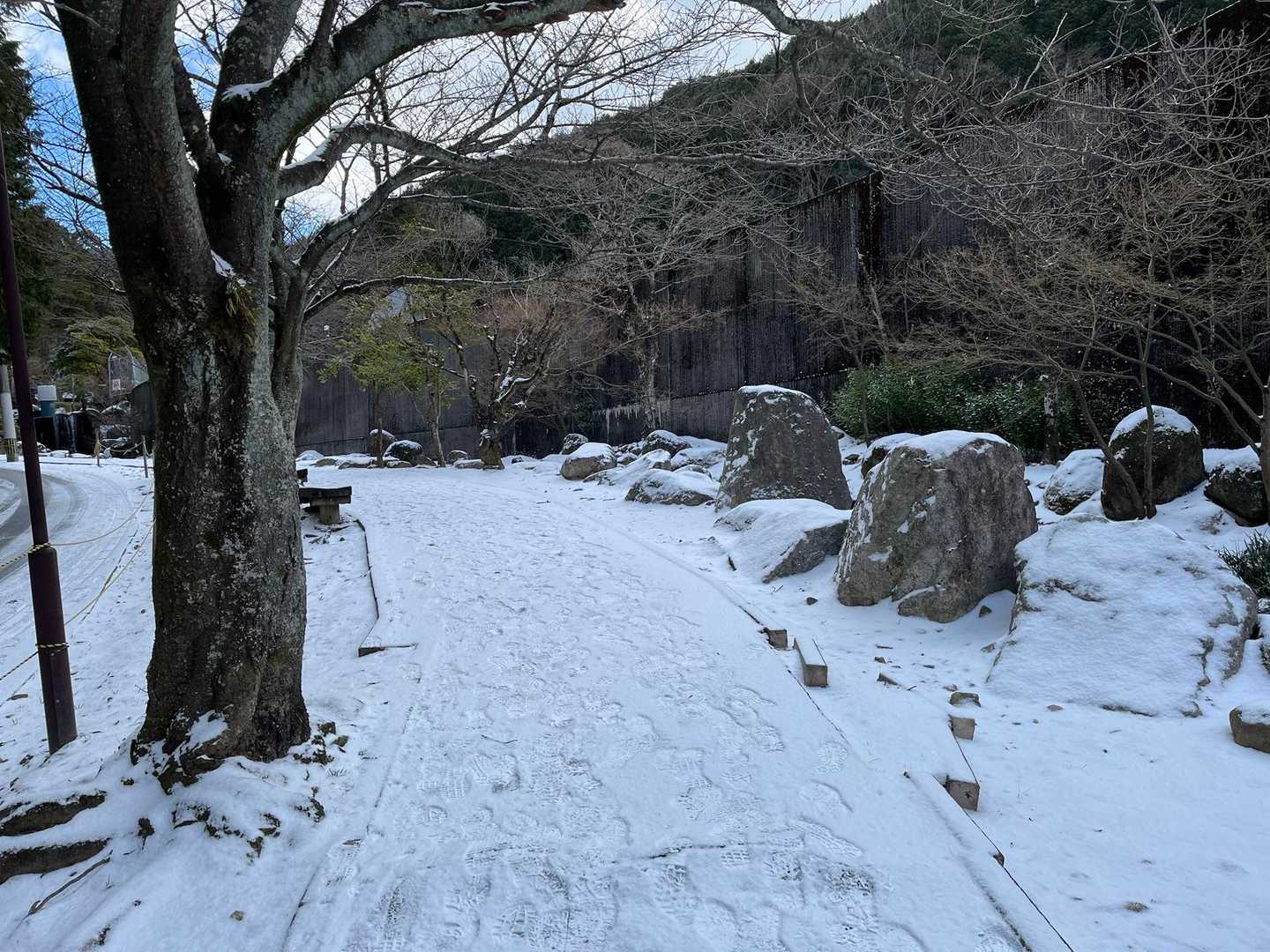 縦走路まであがって周回するつもりだったけど
駐車場代をケチって
3時間で下山

駐車場、満車になってるだろうと思ったら
そーでもなかった
けど、駐車場あがれず立ち往生してる車（ノーマルタイヤ）がいた


明日も多くの人が行きそうな気がする
みなさんお気をつけて
