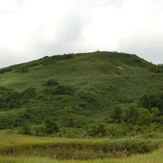 湿原から山頂。