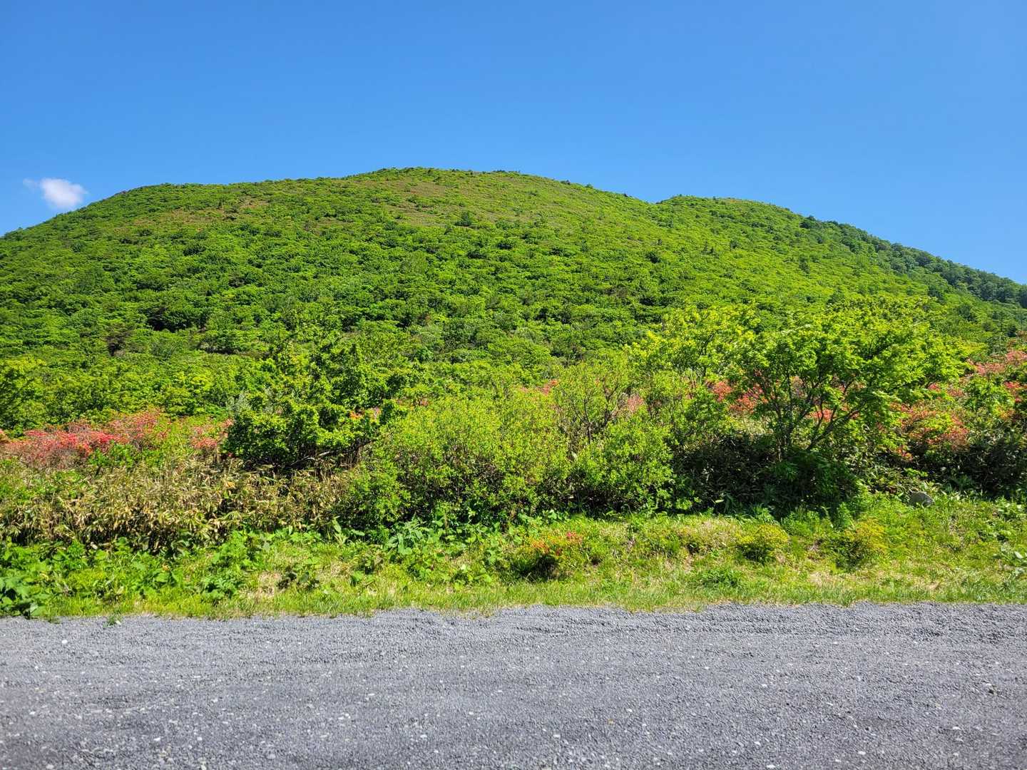 大関山-ハマグリ山-トンガリ山 往復コースの写真