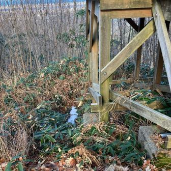 登山道に雪はなかったです