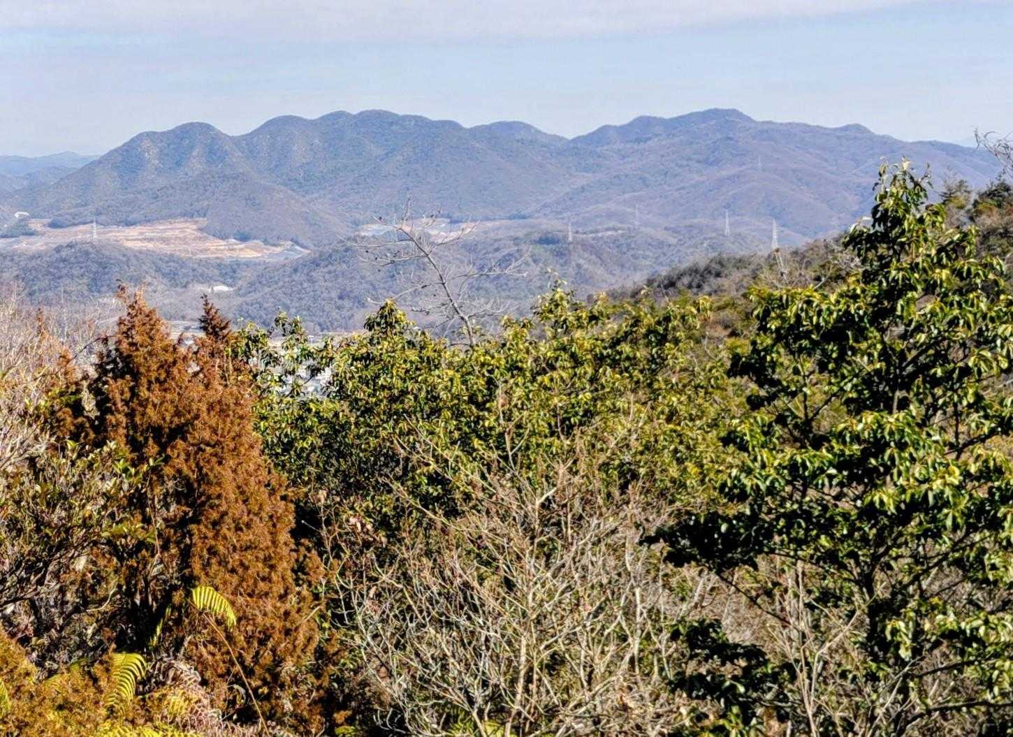 北東に観音寺山の山塊が見える🫡
