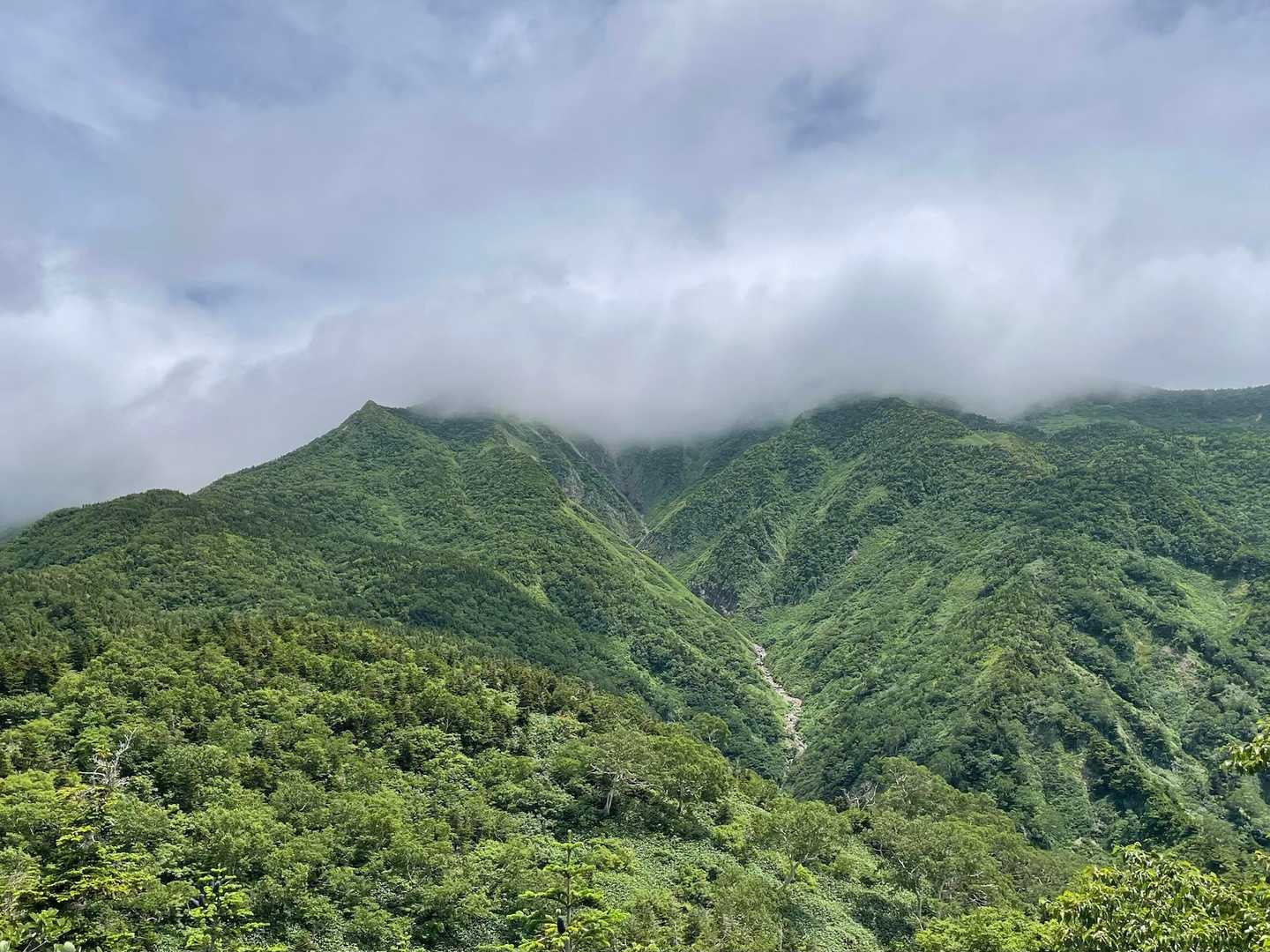 別山の山頂は一日中見れずじまい