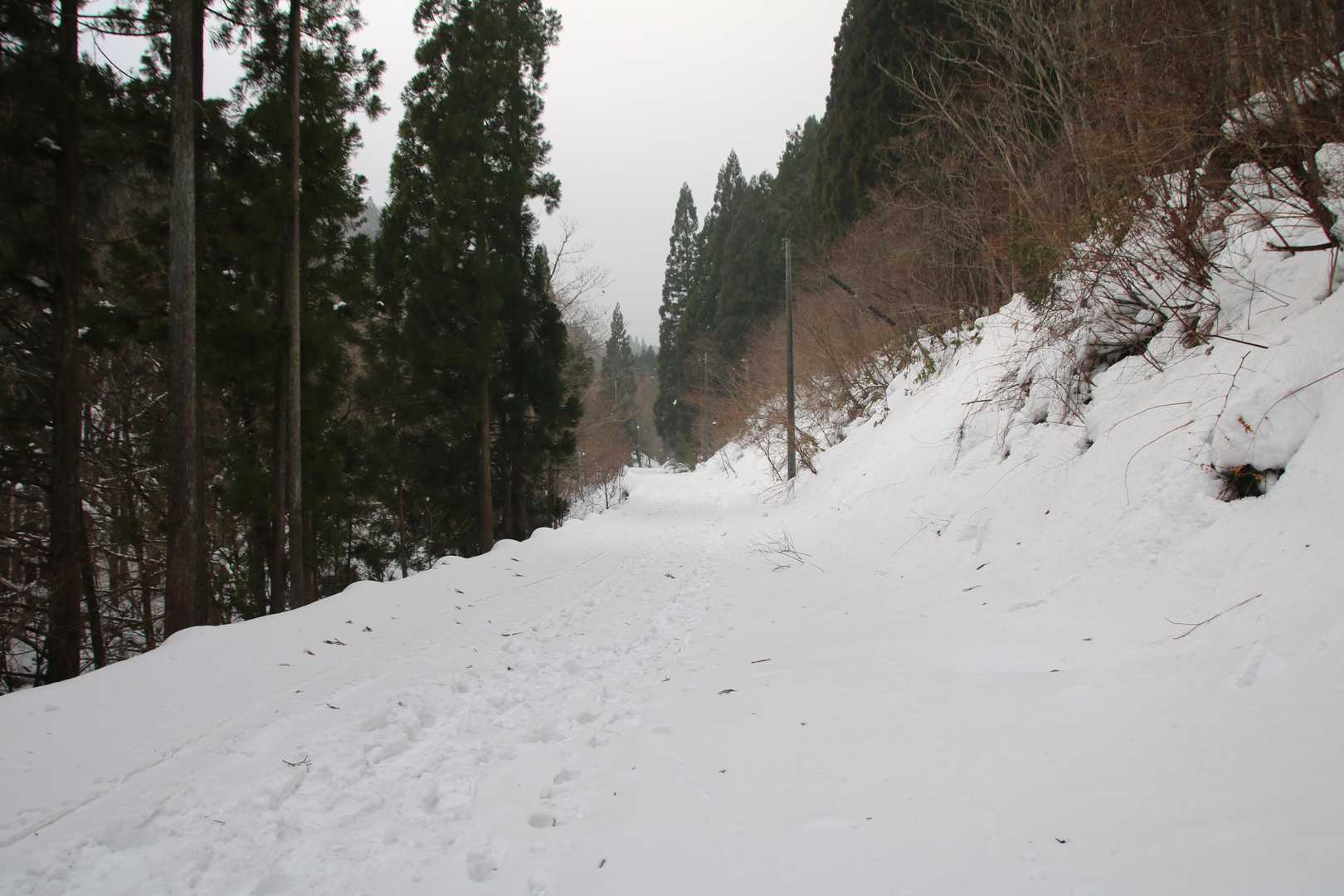 林道歩きが長い、、、