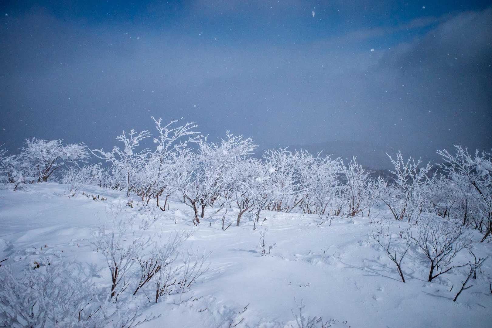 奥岳-薬師岳-安達太良山 往復コースの写真