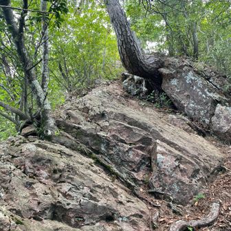 今日は岩の方を登ります。