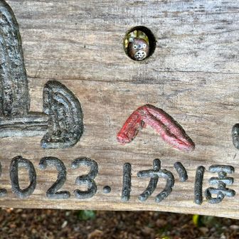 どんぐりトトロさん