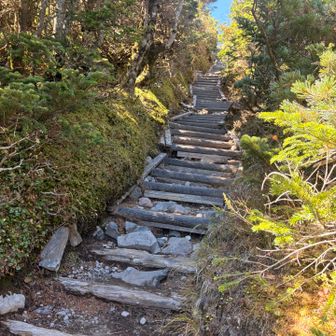 階段を登り切ると
