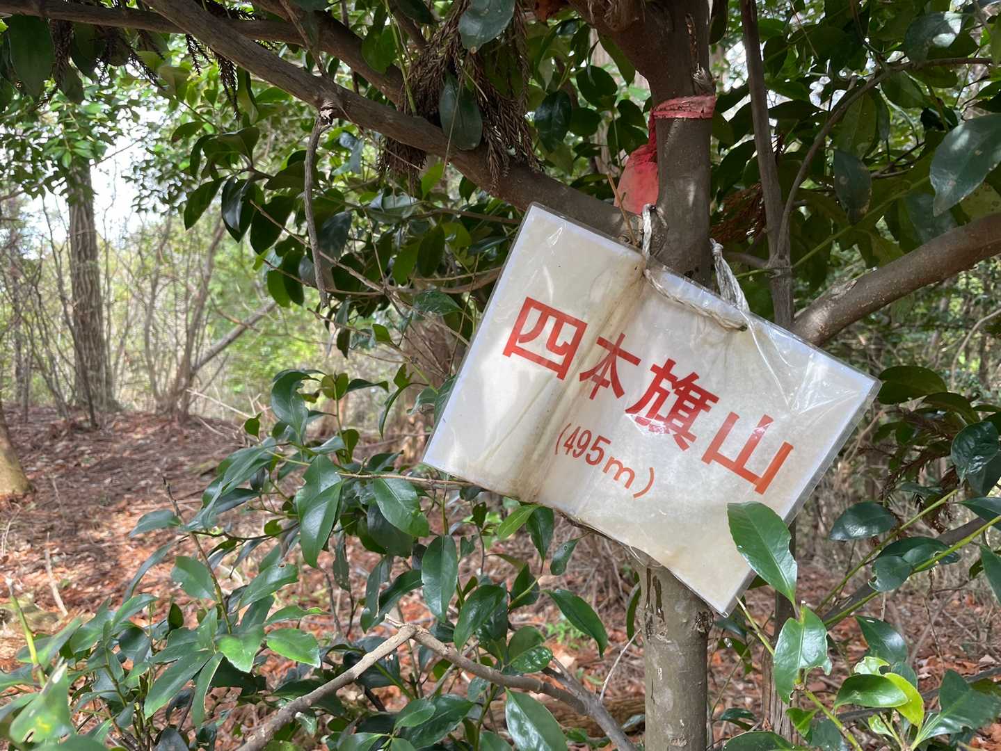すぐ到着
眺望無し