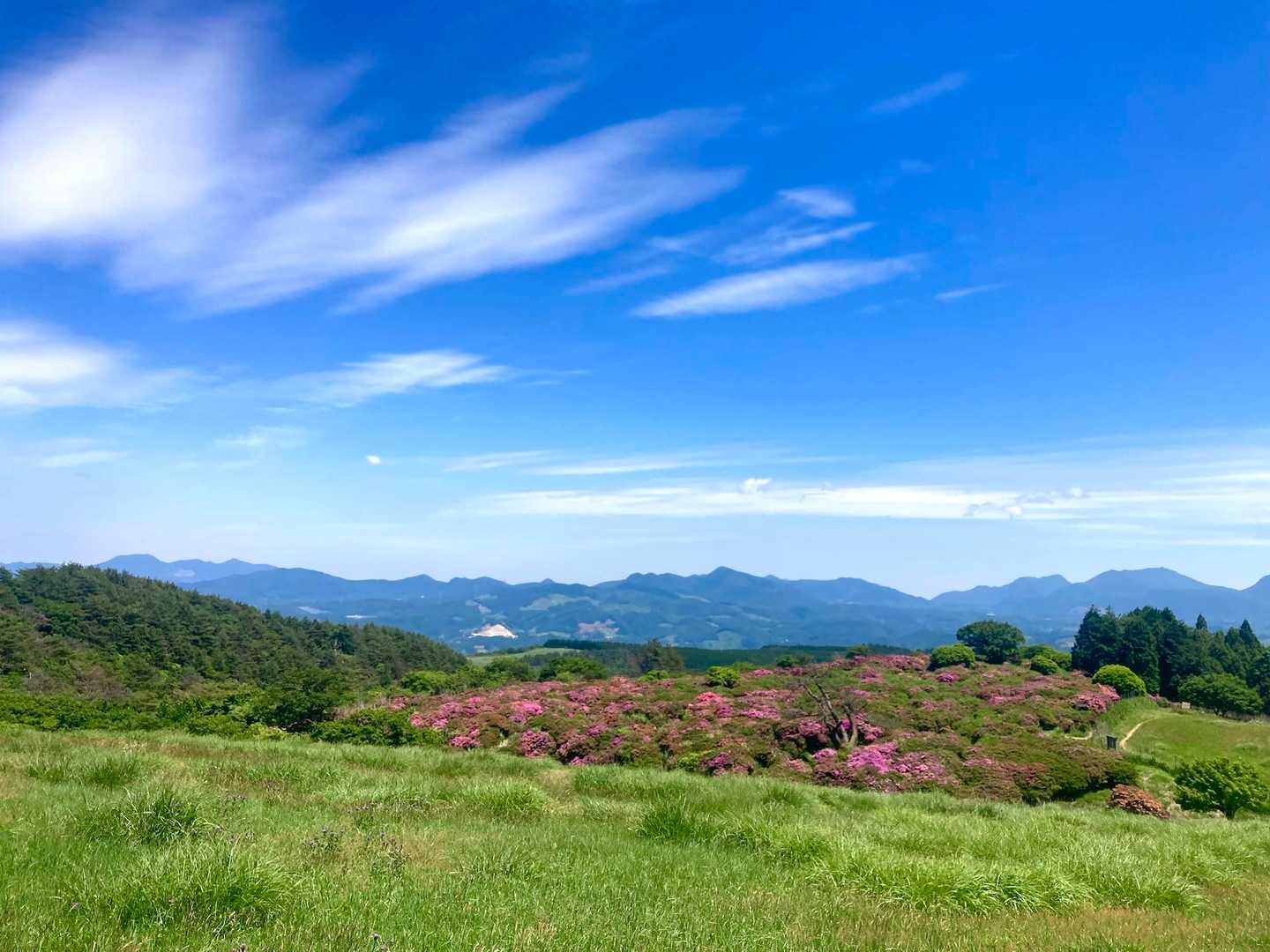 万年山 往復コースの写真