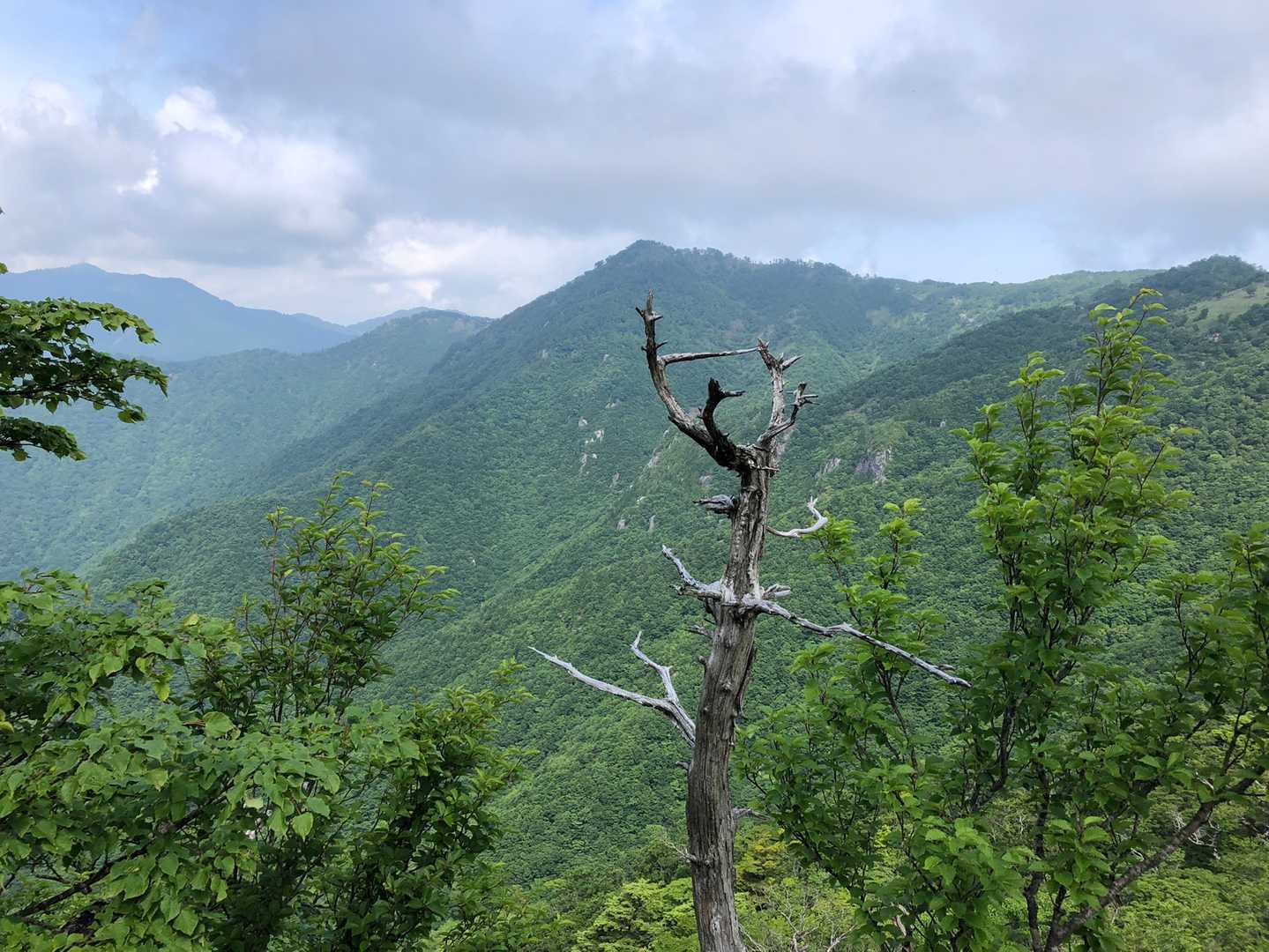 高丸山登山口-三つ尾の峠-高丸山-雲早山 周回コースの写真
