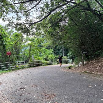 大坂峠