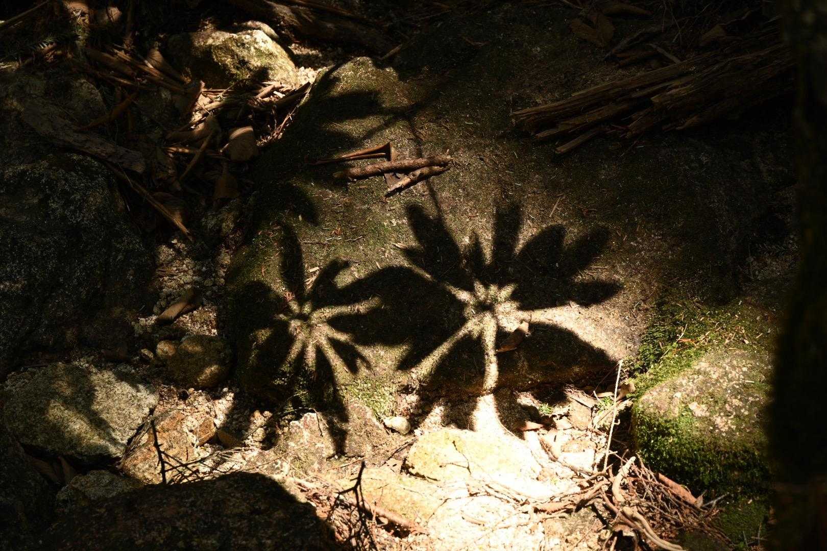 瑞牆山荘バス停-瑞牆山 周回コースの写真