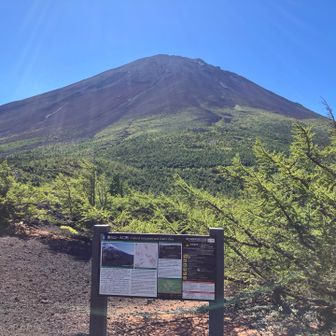 展望台から戻る時に撮った富士山