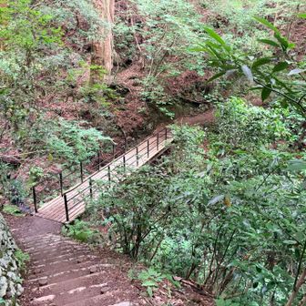 木橋もすてき