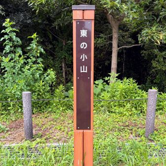 東の小山
ピーク②