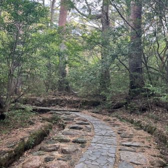 そして…登山口から再び出発〜🚶‍♀️
👩🏼👧🏼ﾜｲﾜｲ👦🏼👨🏼👨🏻🧑🏻ｶﾞﾔｶﾞﾔ👩🏻‍🦰👦🏻〜家族連れ〜若者グループ〜カップル…etc.
多い多いっ笑💦でも……