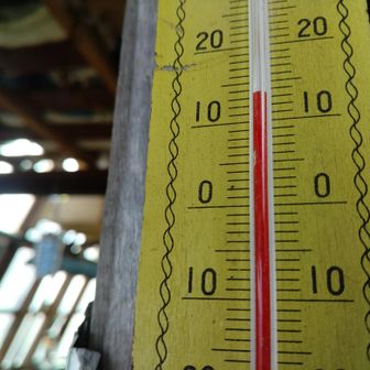 今日は気温高め