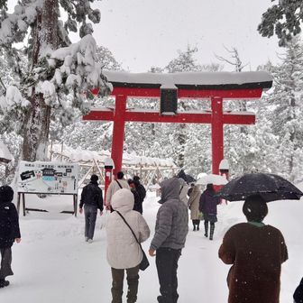 羽黒山神社。午年御縁年、今年お詣りすると12年分のご利益🙏