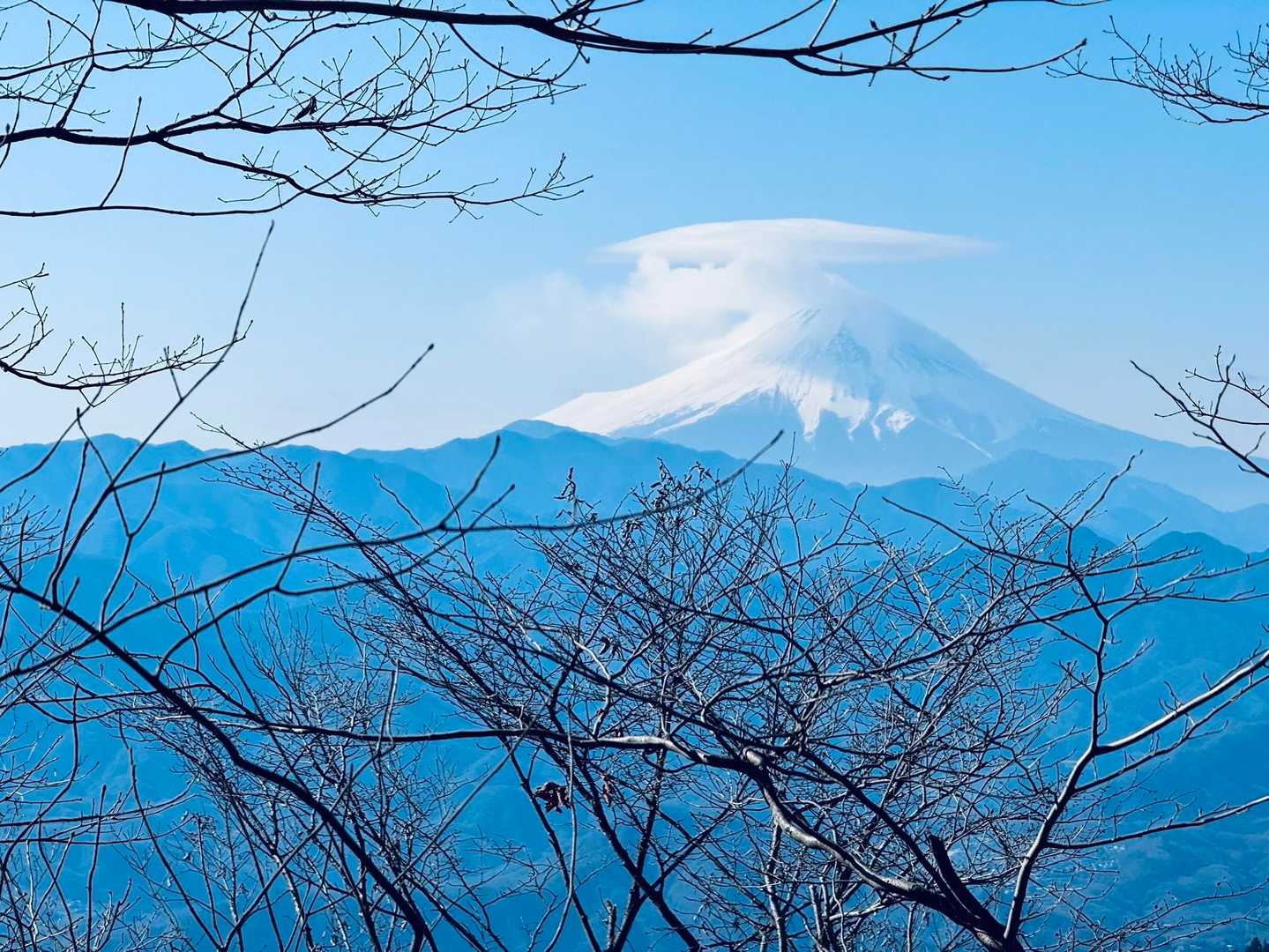 井戸バス停-軍刀利神社-生藤山-連行峰-醍醐丸-醍醐峠-醍 縦走コースの写真
