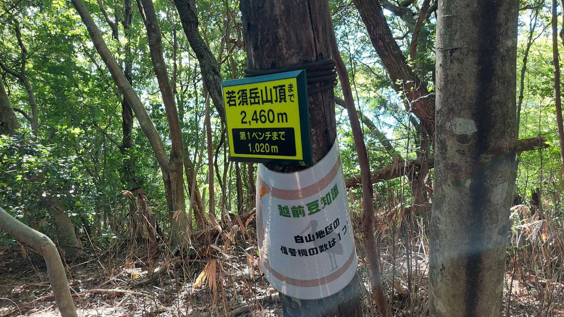 次のベンチ🪑までの距離表示、初心者🔰にはありがたい😅。