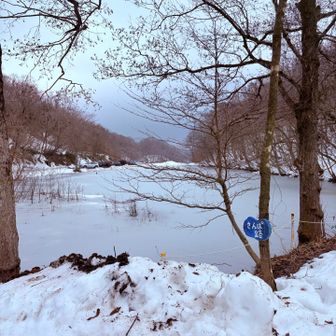 ビタル湖も雪景色に