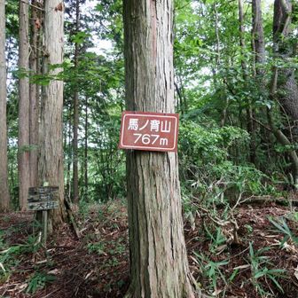 馬ノ背山（767m）