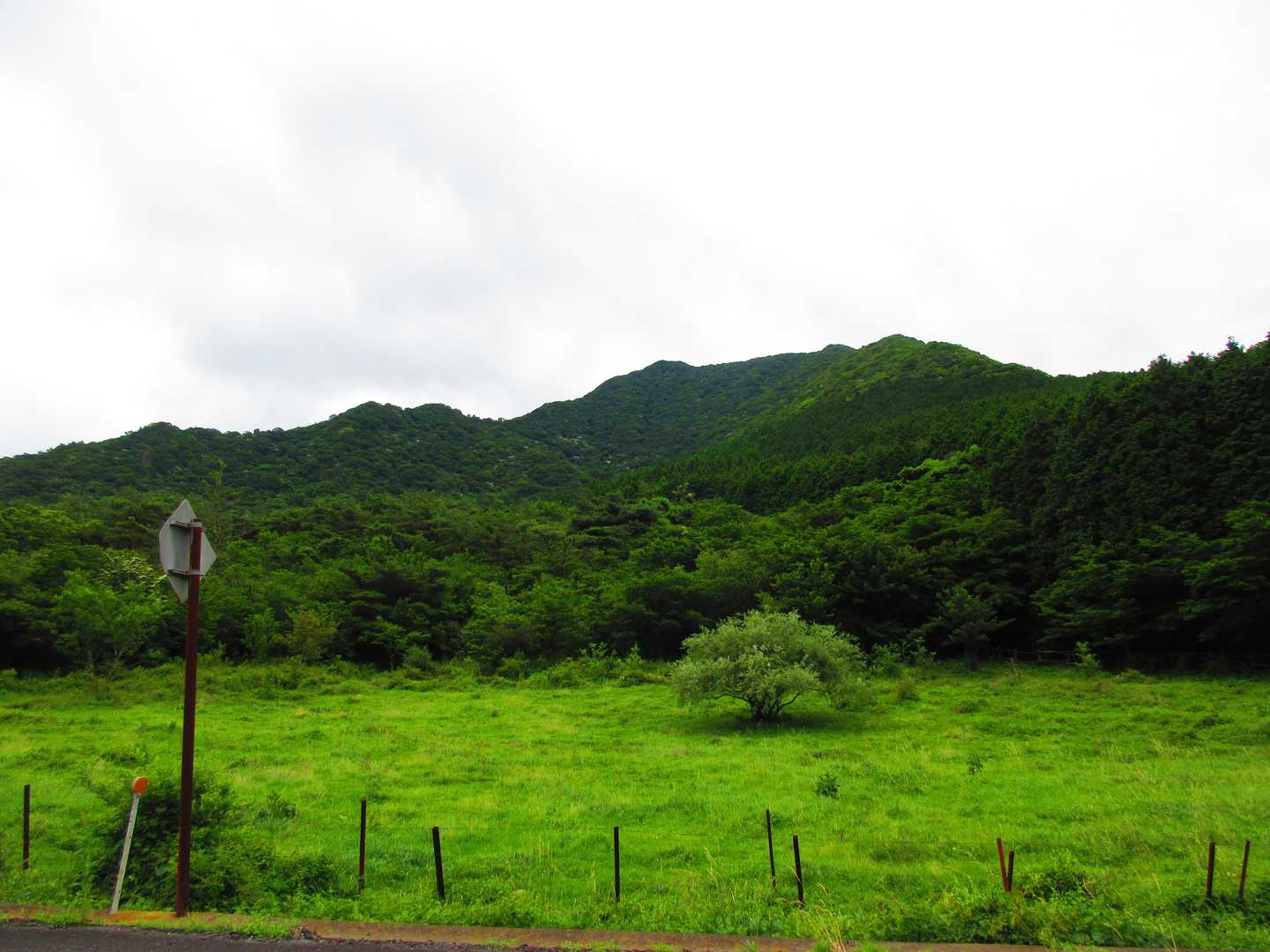 こちらは、これから登る九千部岳です。