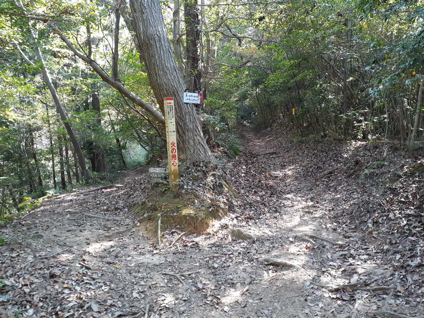 分岐。
左側は北登山道。
今日は右へ🚶
