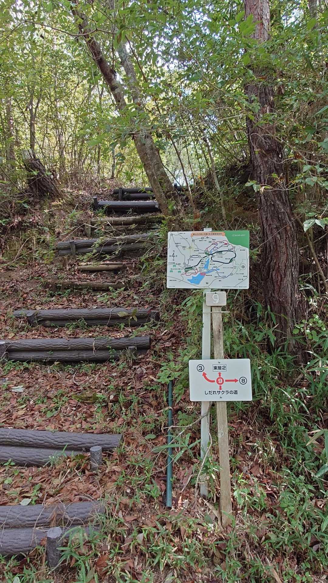 東屋休憩所が何ヶ所か建てられていますので､ここから東屋２へ行きます｡