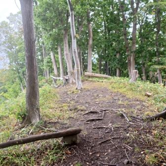 野々沢山頂上