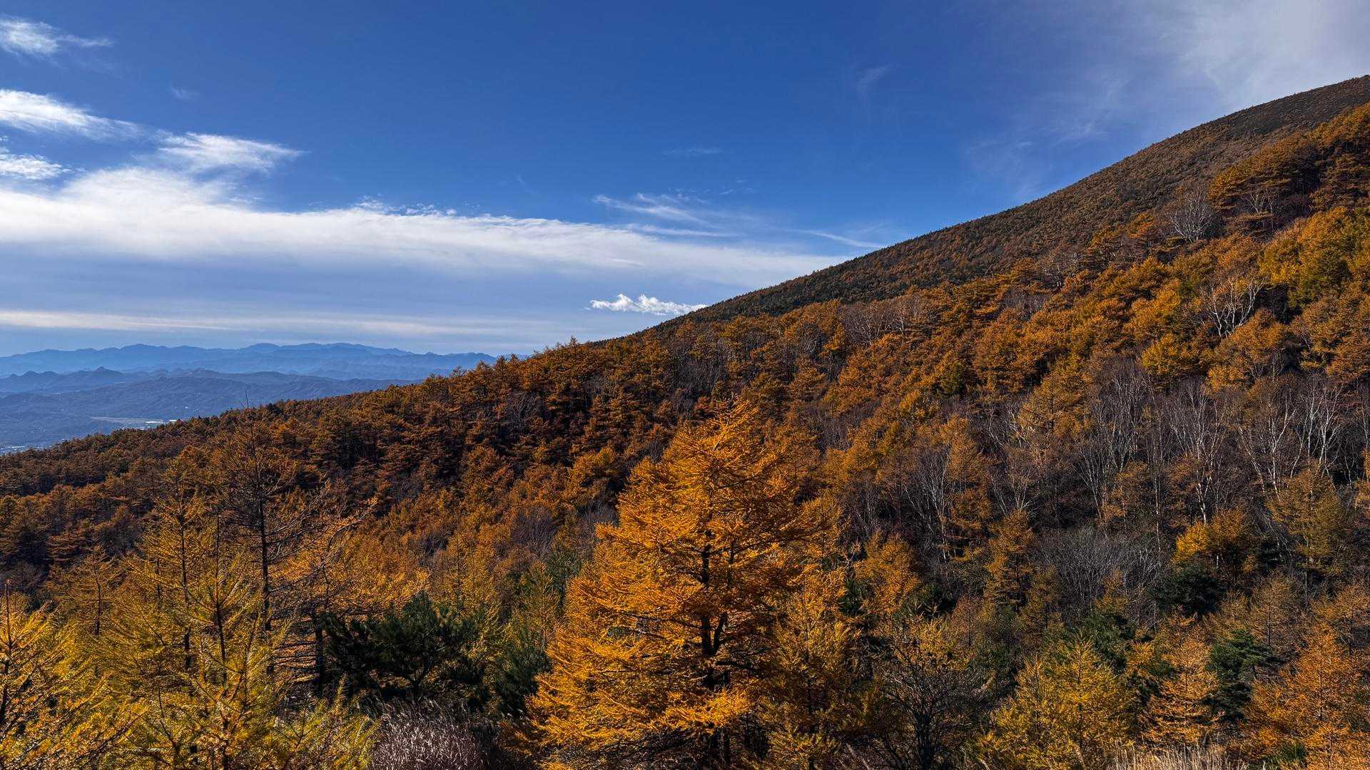小浅間山往復 | 世界有数の雄大な活火山を間近に。手軽に登れる浅間山の側火山の写真