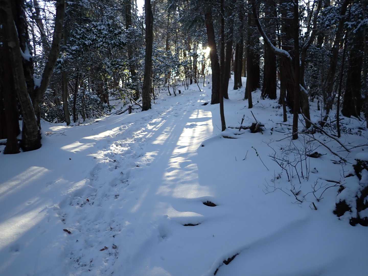 スノーハイクいいですね❄