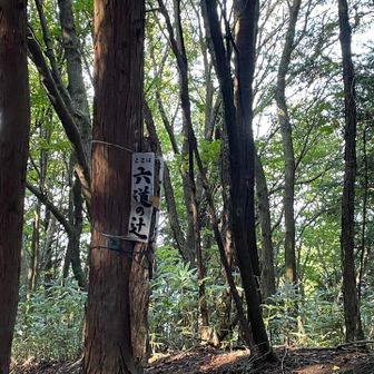 太尾西尾根は久しぶりだな。