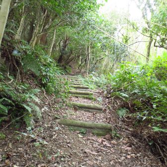 かなり登ります