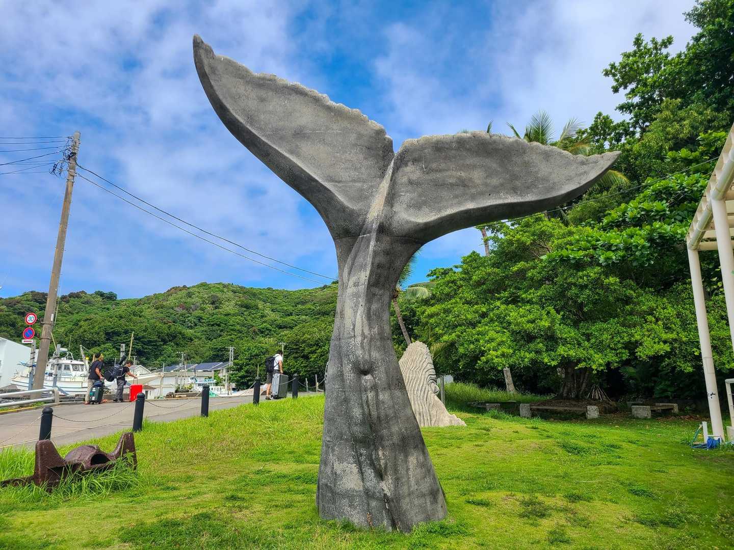来たぜ！母島