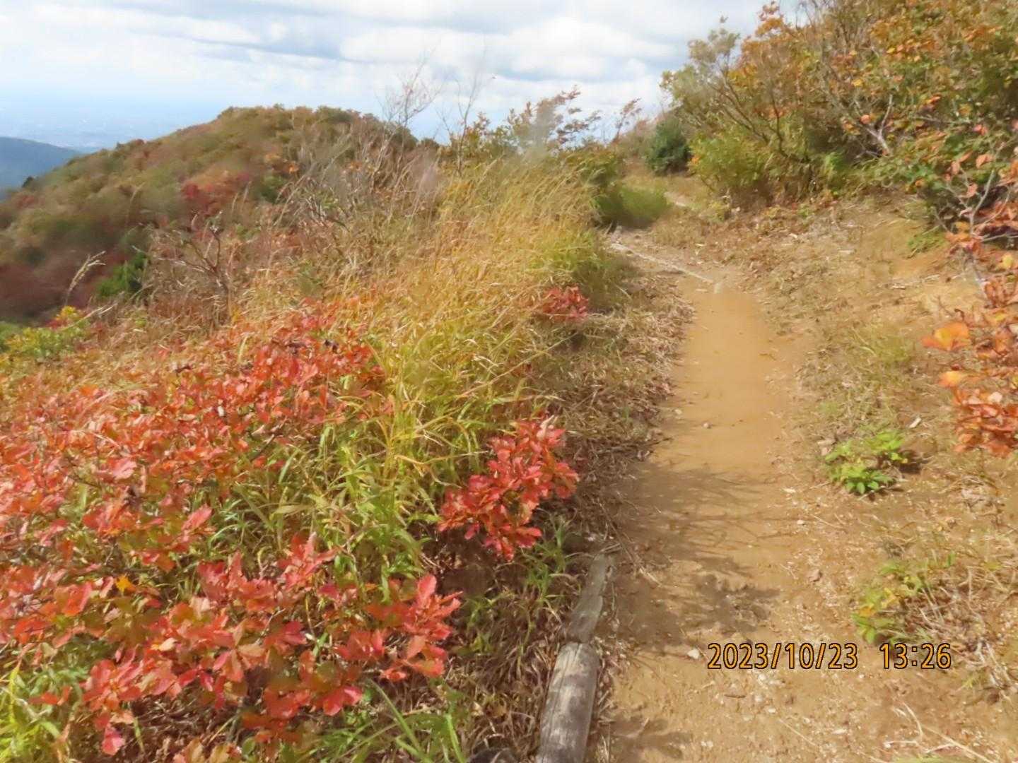 白禿山への道ですね‼️😃💕