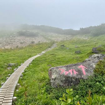 五色ヶ原山荘まであと少し💪
ファイトの文字😊