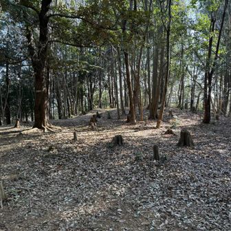 太郎坊は山頂標識はないのかな？