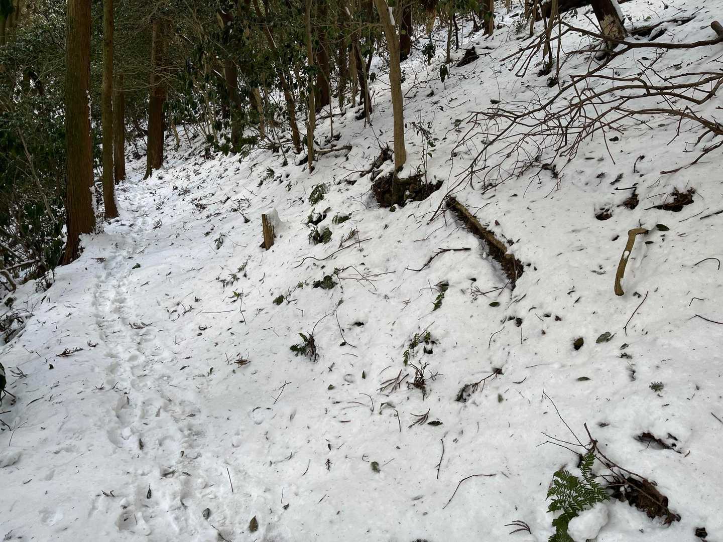 やはり北斜面は雪が多いですね😳
ここ宗像なんですけど､､､💦
