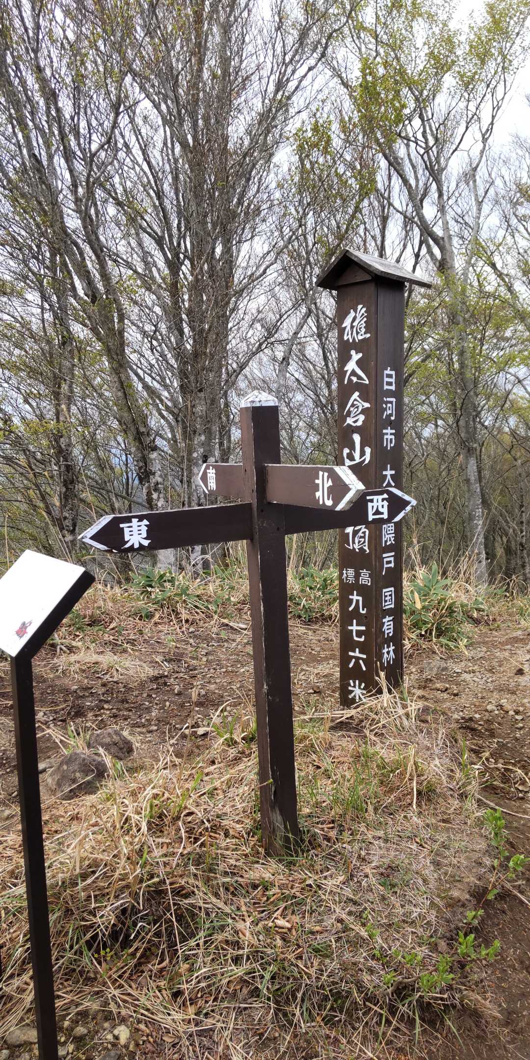 権太倉山 往復コースの写真