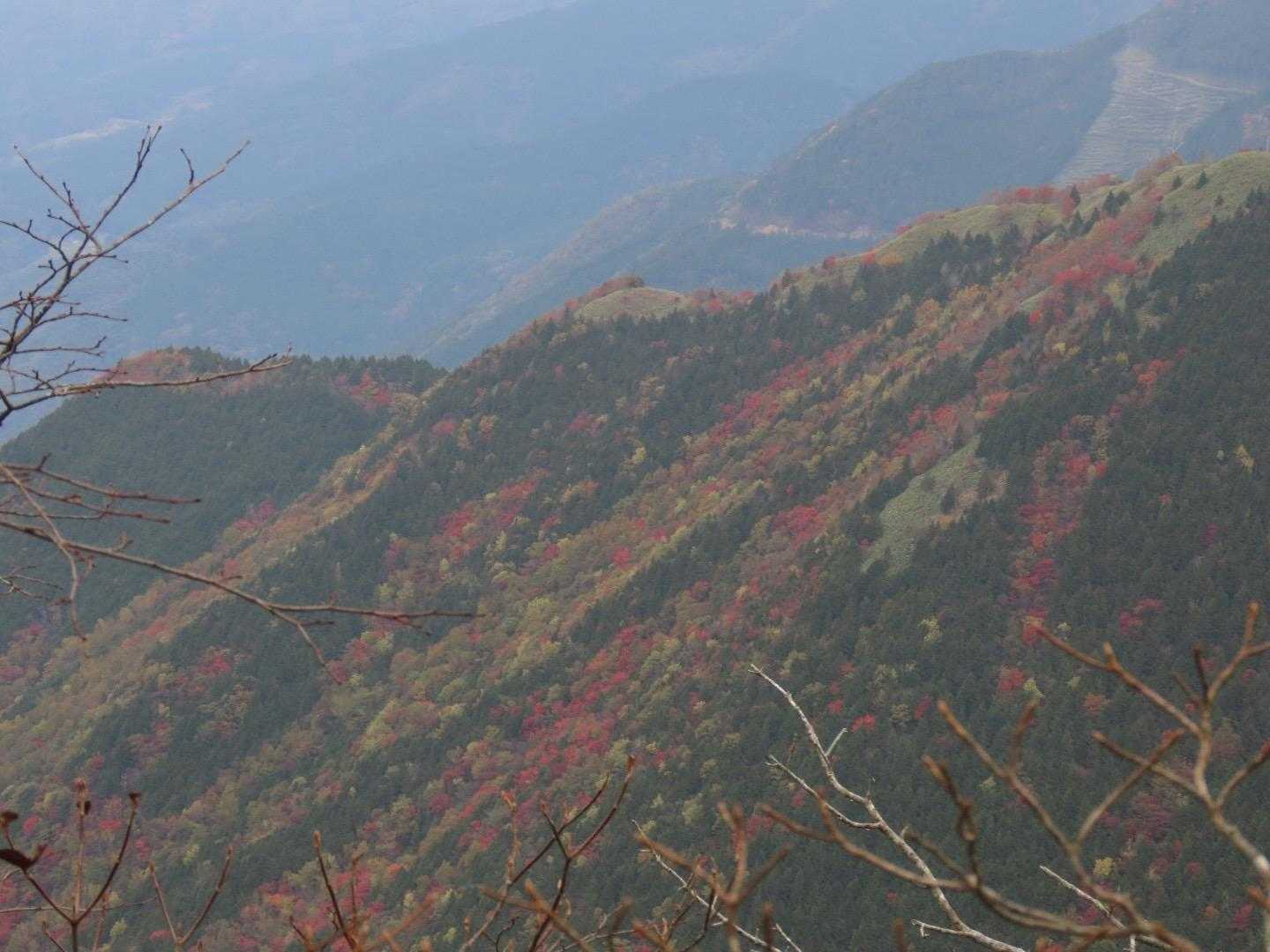 〈低いとこは紅葉良き〉

名前って大切ね。

中学の時、近くに発電所ができた。
そこで働く方々の大きなマンションも出来た。
引っ越してきた人も多く居た。

引っ越してきた同級生と友達になり、
家に遊びに行った。
飼っているワンコの名前がユキだった。


その友人マンションの隣部屋も同級生で、
苗字が湯木だった。














