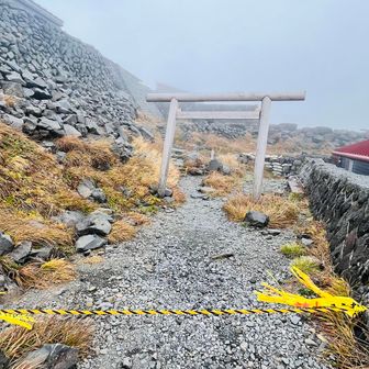 山頂の晴れるタイミングを待つか
ちょっと考え…
行っちゃうことに💪