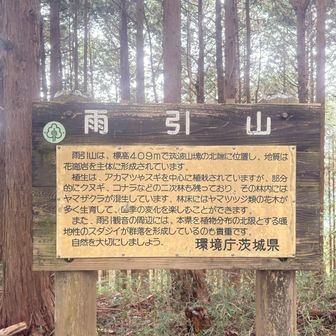 本日のラストピーク