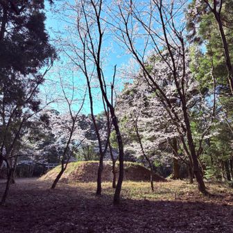 もう一つピークも