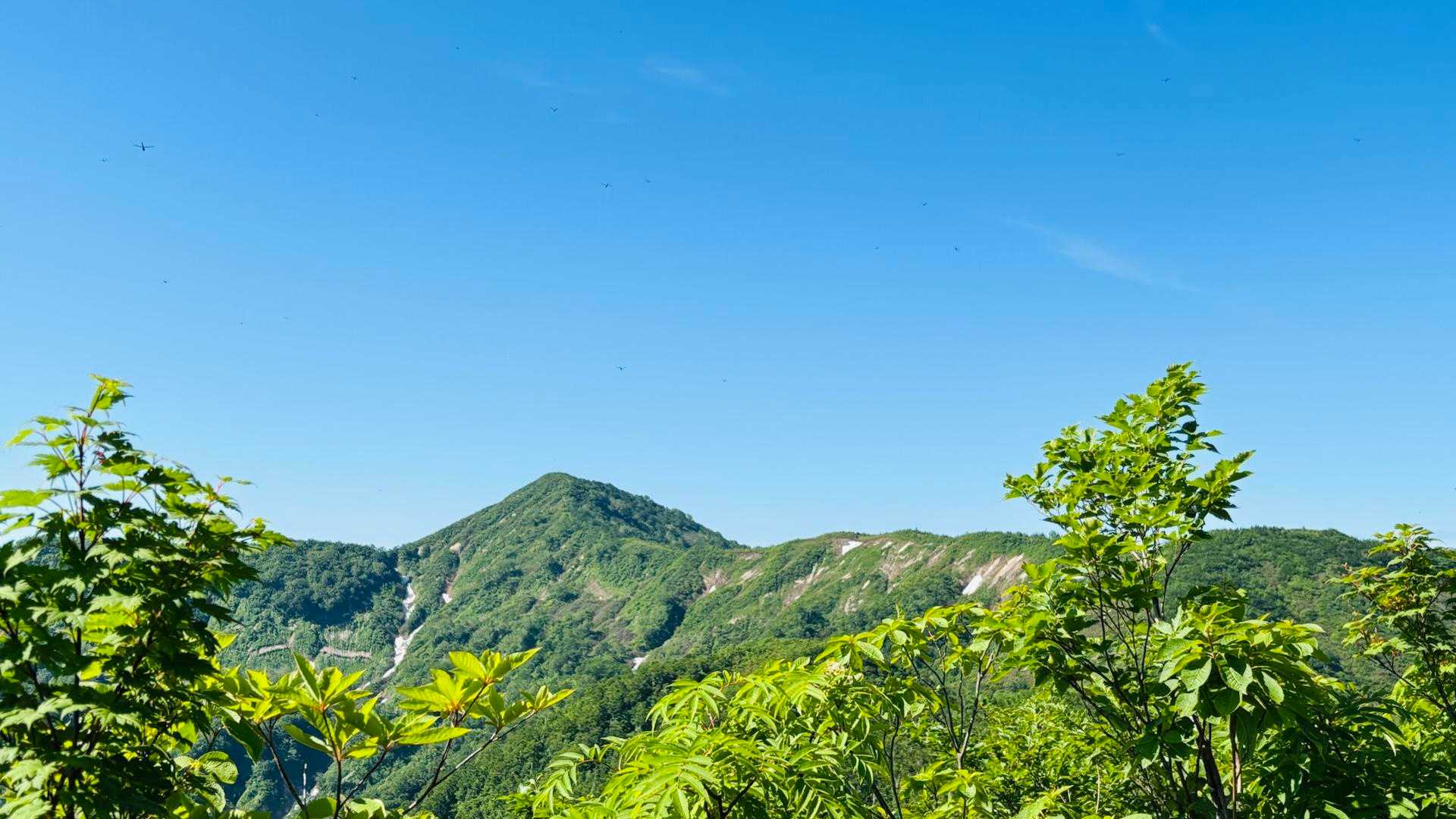 👀三ヶ池山⛰️かな？
行けるか？なぁ