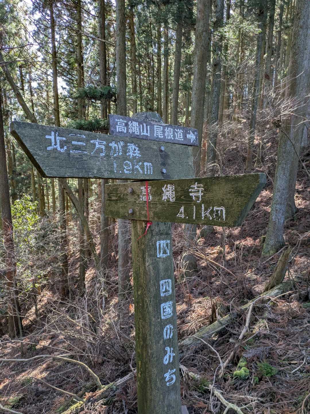 高縄寺のルートはYAMAPには載ってなくて帰り通るか悩んで怖くてやめました