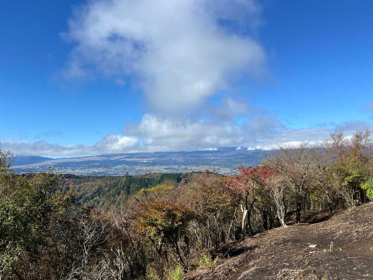 矢倉沢バス停-矢倉沢登山口-矢倉岳-清水越-地蔵堂バス停 縦走コースの写真